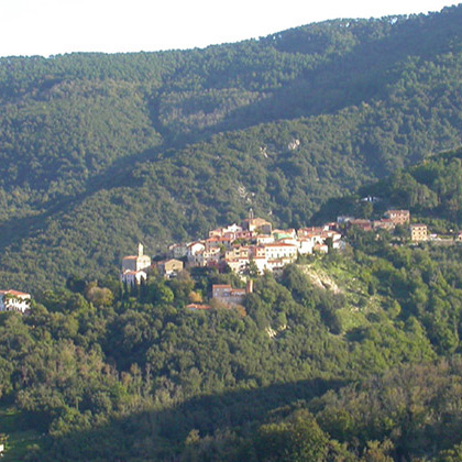 Isola d'Elba