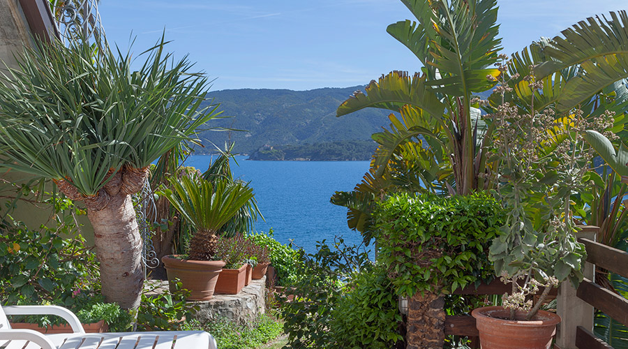 Apartments Carmignani Elba Island: three room apartments